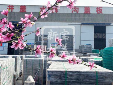 花滿枝頭，春意盎然